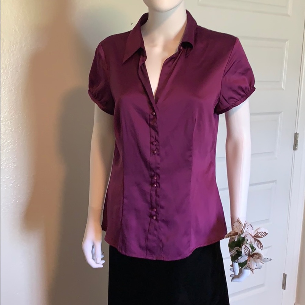 Dress Blouse Ann Taylor